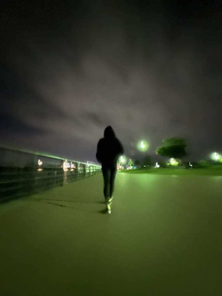 今日も今日とて