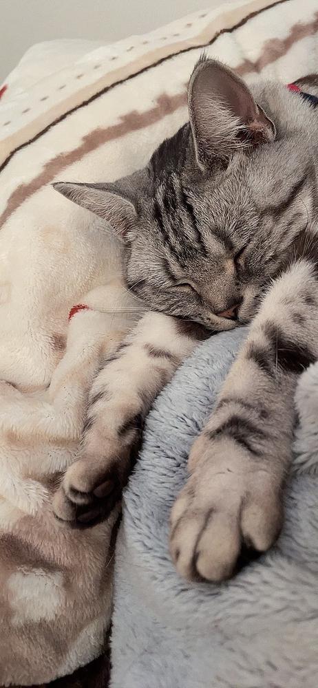 おかしいな……