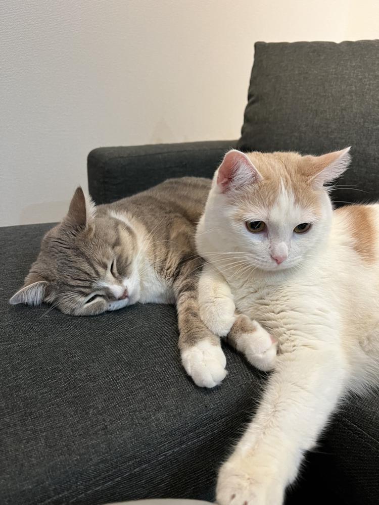 おはようございます☀️