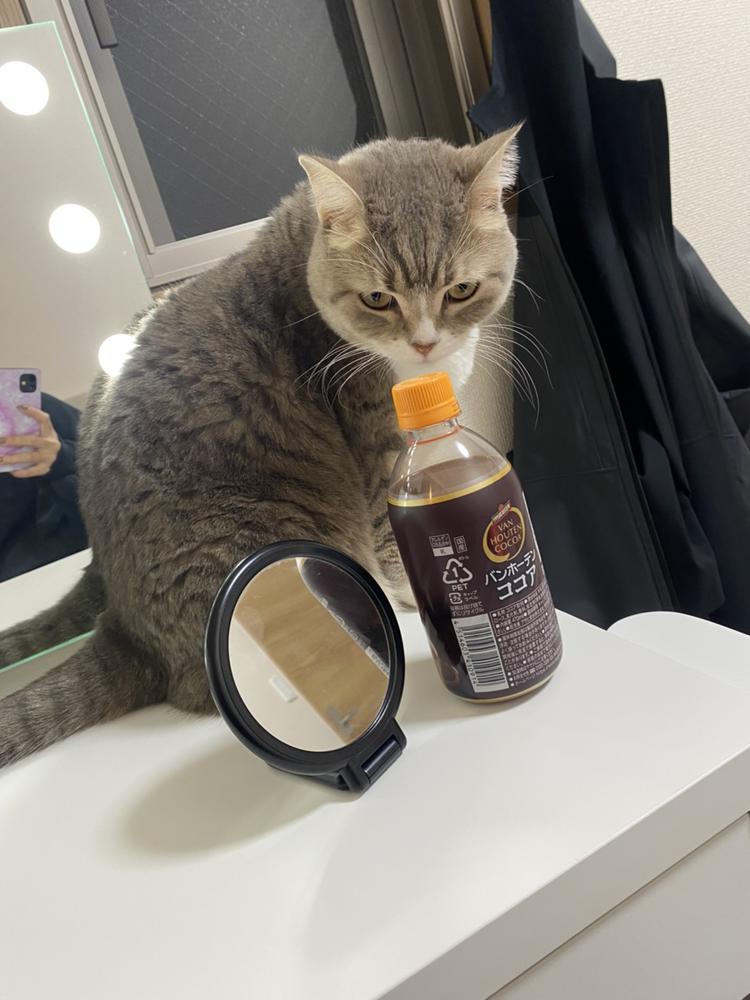 ᵍ ᵒ ᵒ ᵈ  ᵐ ᵒ ʳ ᐢ ⁱ ᐢ ᵍ ⋆͛‪‪❤︎‬⋆͛