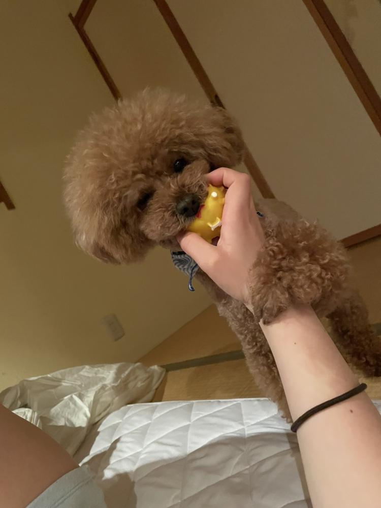 おっはよーーーん