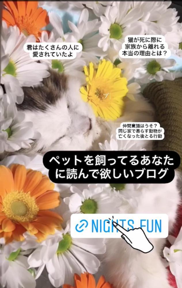 多頭飼いしてる貴方へ