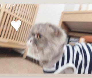 今年も、、