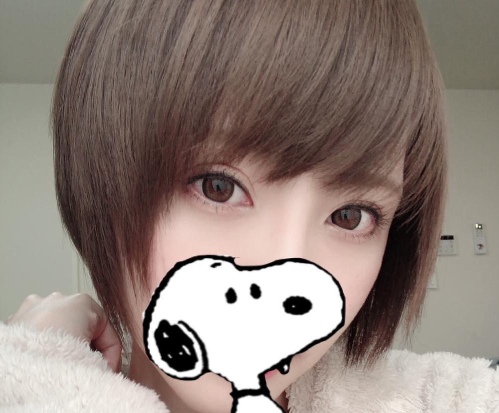 理想は所詮理想