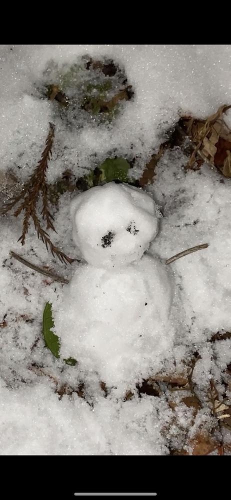 昨日楽しすぎたー‼️‼️‼️         パピーがスタッドレスタイヤにしてくれたから            さっそく雪山行ってきた❣️