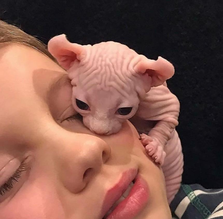 🙂🙂🙂🙂🙂🙂🙂