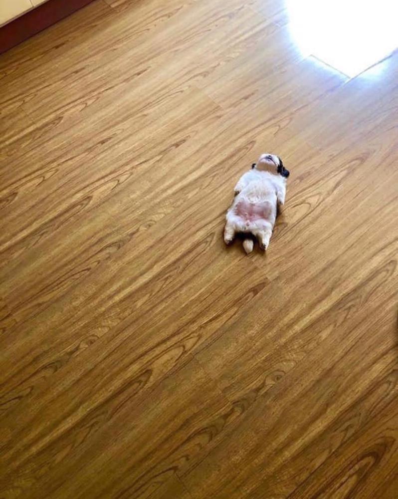 😎😎😎😎😎😎