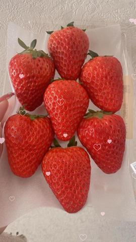 ˗ˋˏ🍓ˎˊ˗