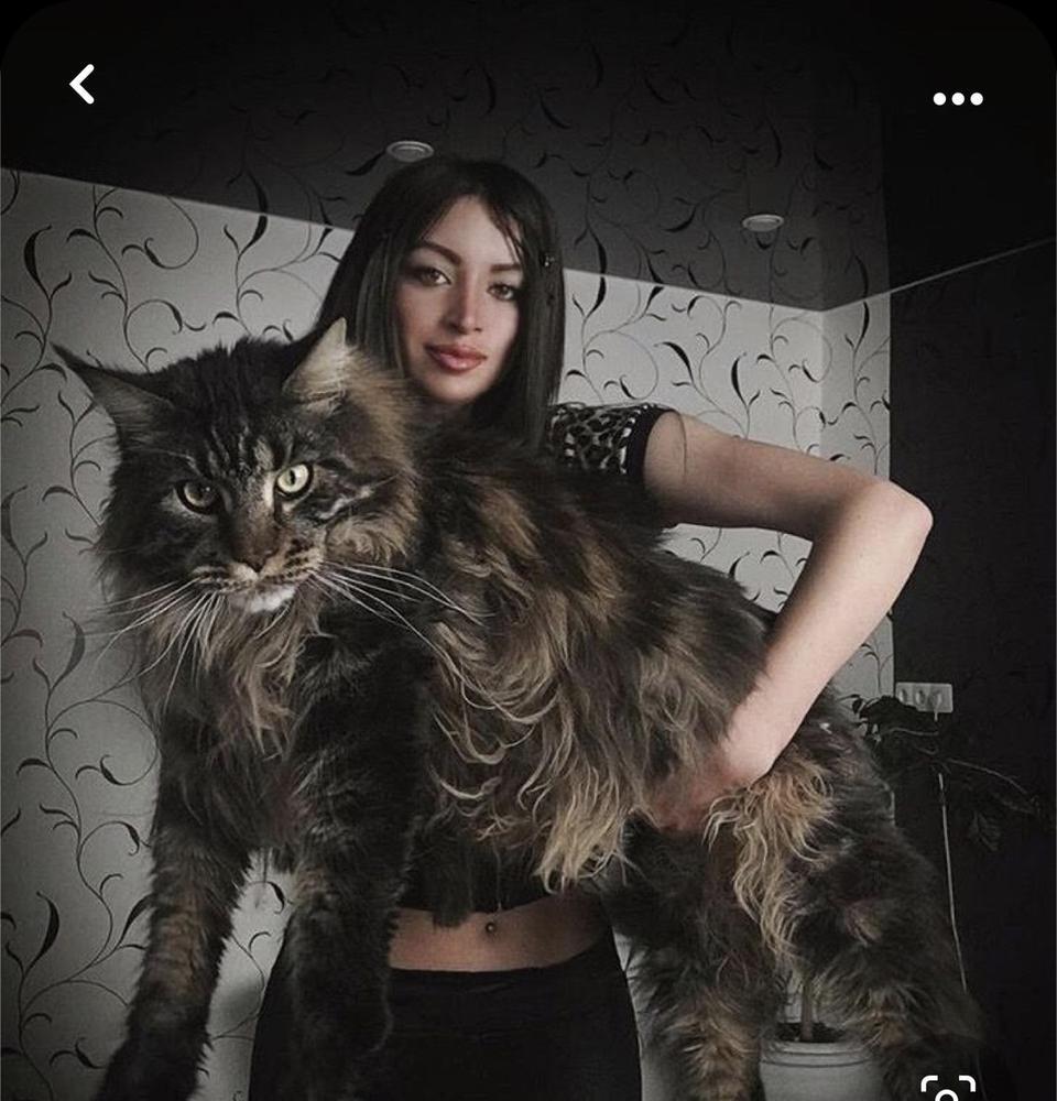 ☹️☹️☹️☹️☹️