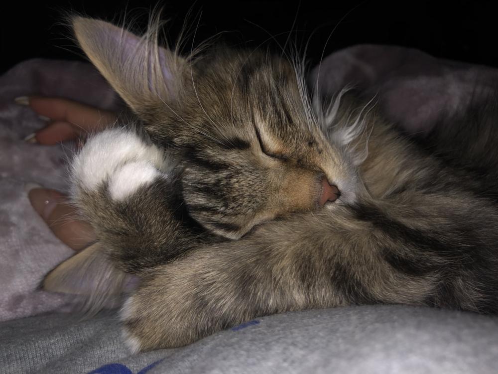 今日もありがとうございました❄️