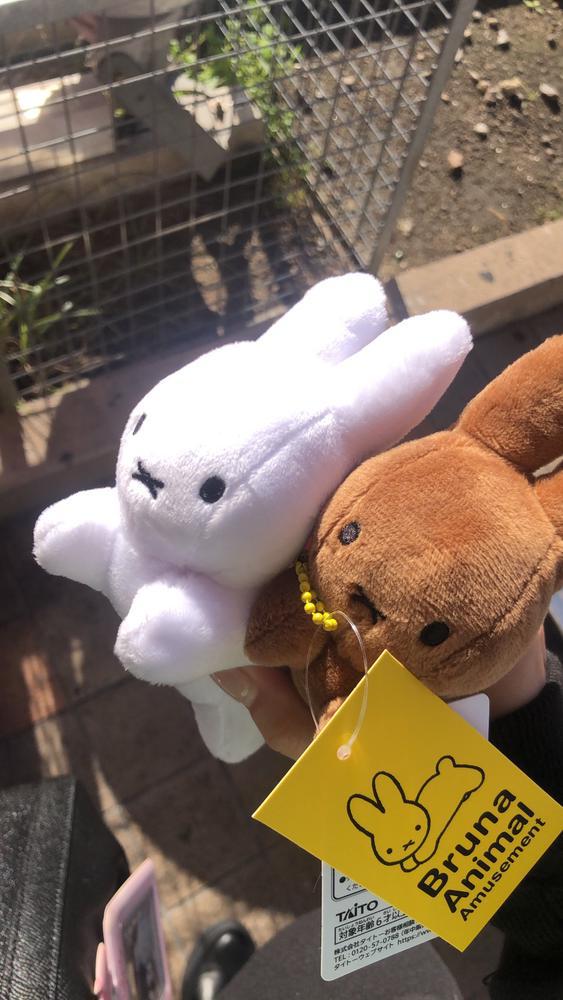 今日もありがとうございました🐟