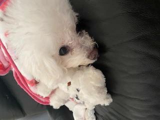 こんばんは