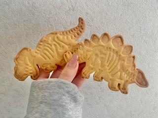 ˋˏ 🦖 ˎˊ˗