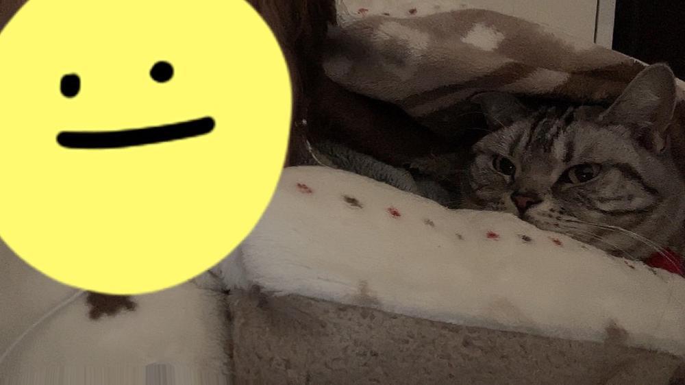 やっぱりありがたい