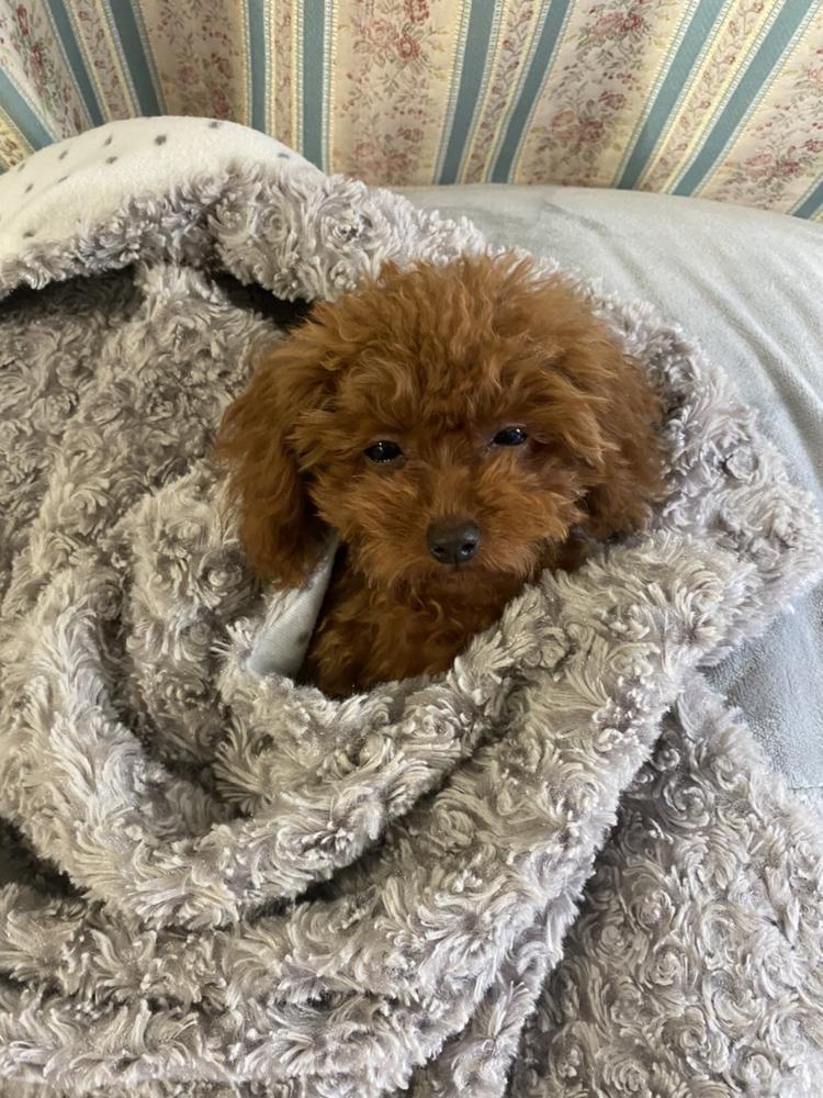 おやすみー‼️‼️‼️