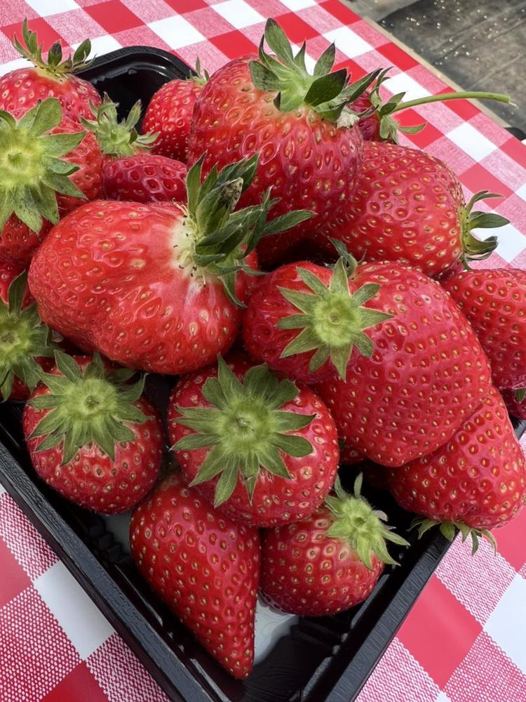 ☹️🙏🙏🙏🙏🙏