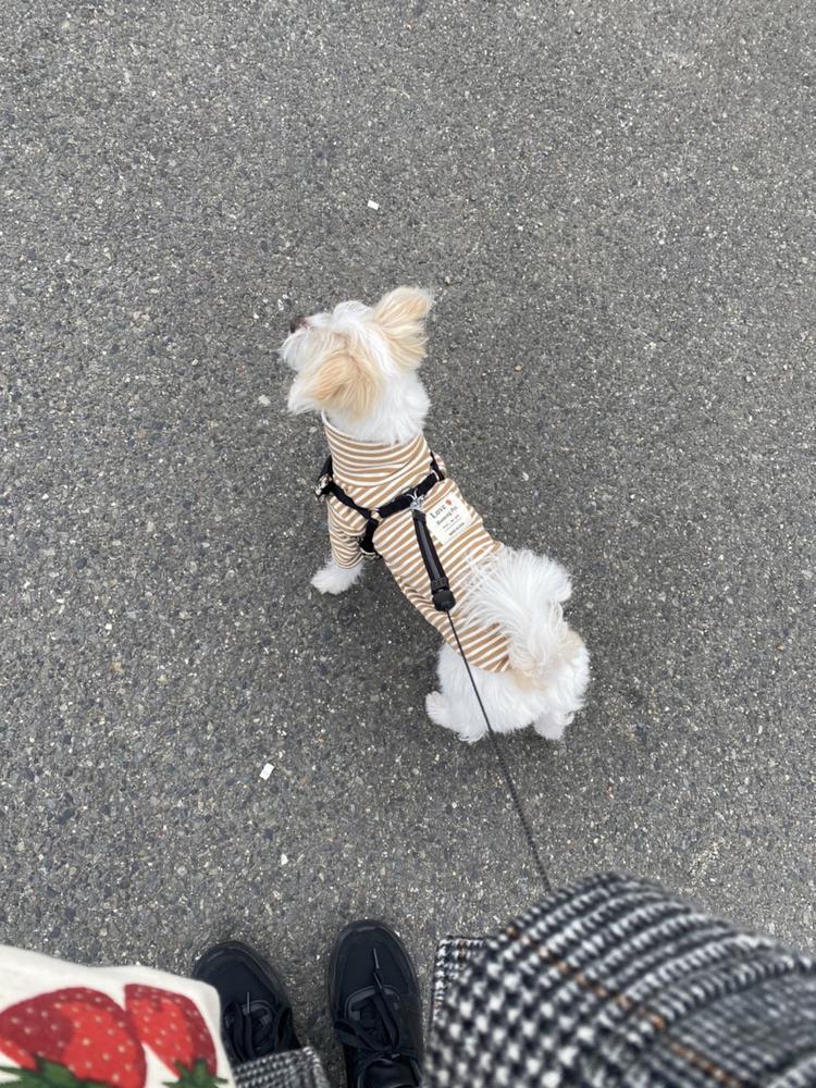 久しぶりの出勤