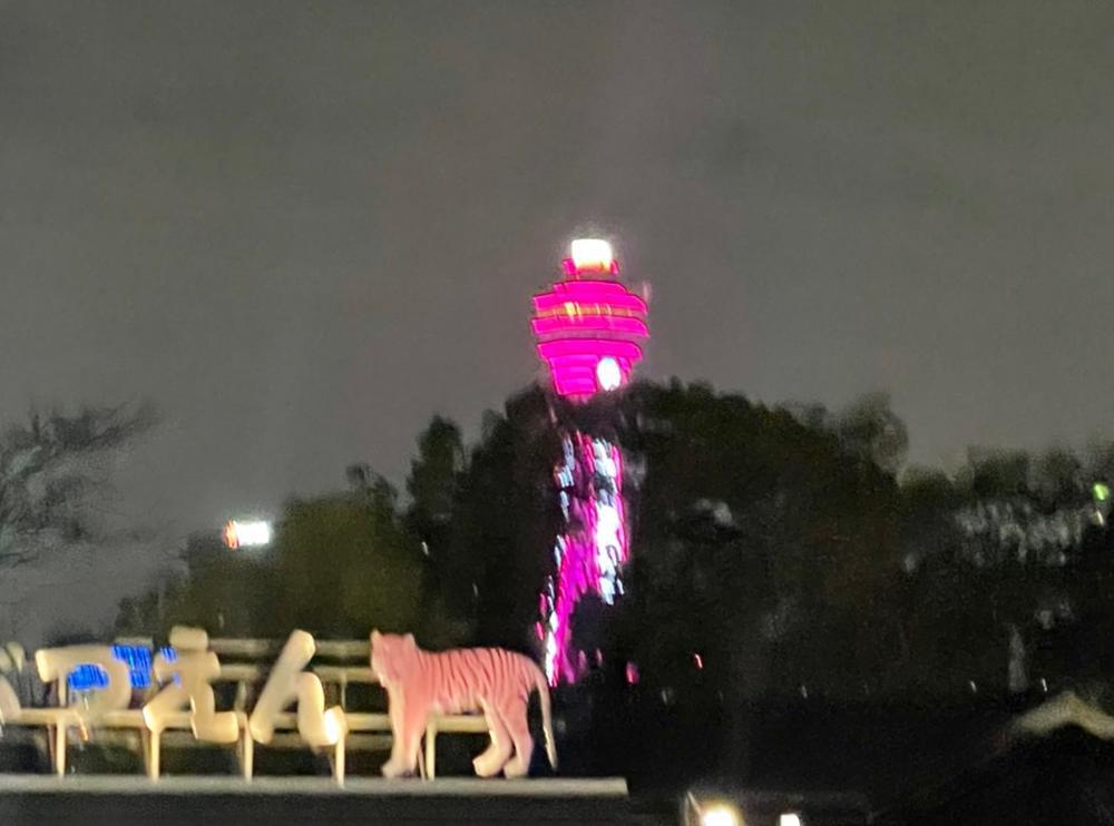 ピンク🛍🎀🏩