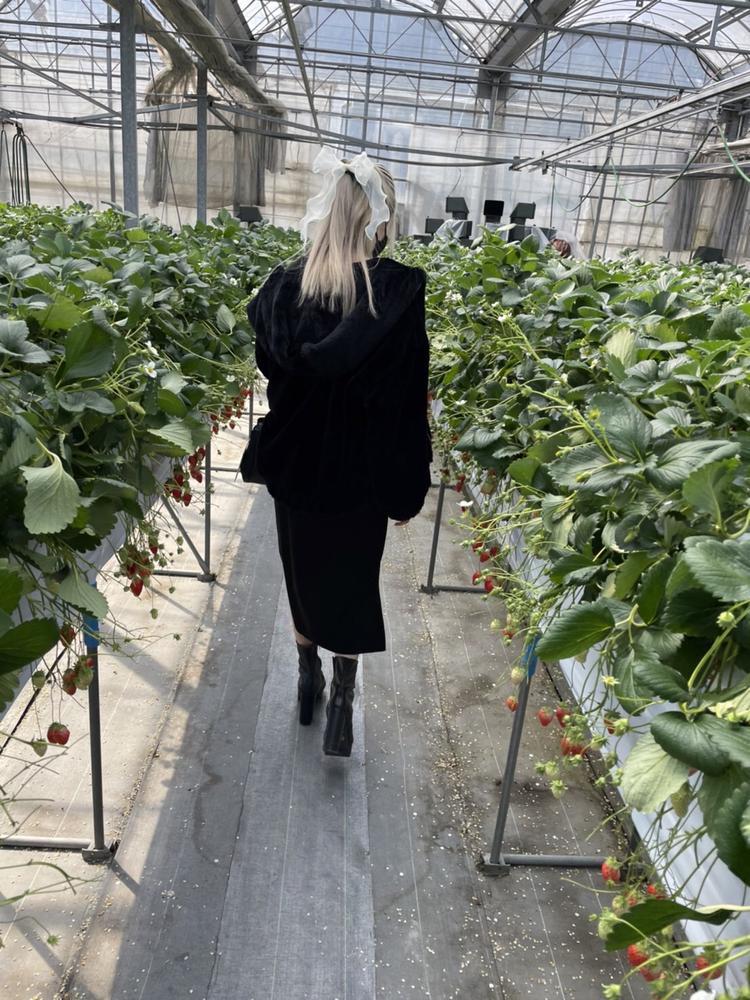 今日もありがとうございました🐟