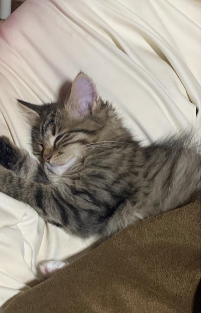 本日も出勤です🦋