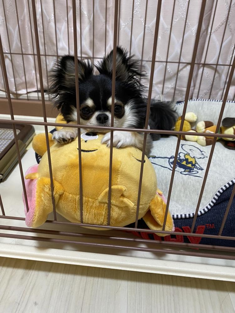 ラスト(ㅅ´ ˘ `)