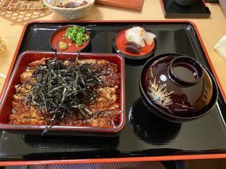 こんにちは