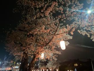 ˗ˋˏ 🌸 ˎˊ˗