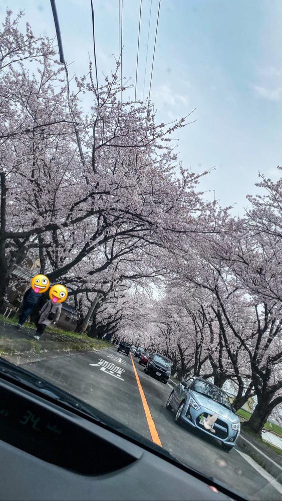 おばあちゃんと👵