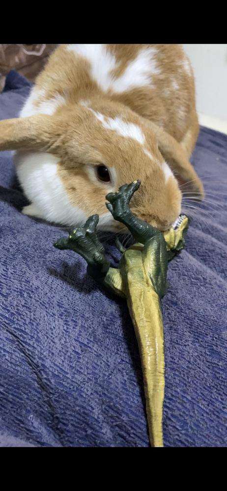 本日21時出勤です✨