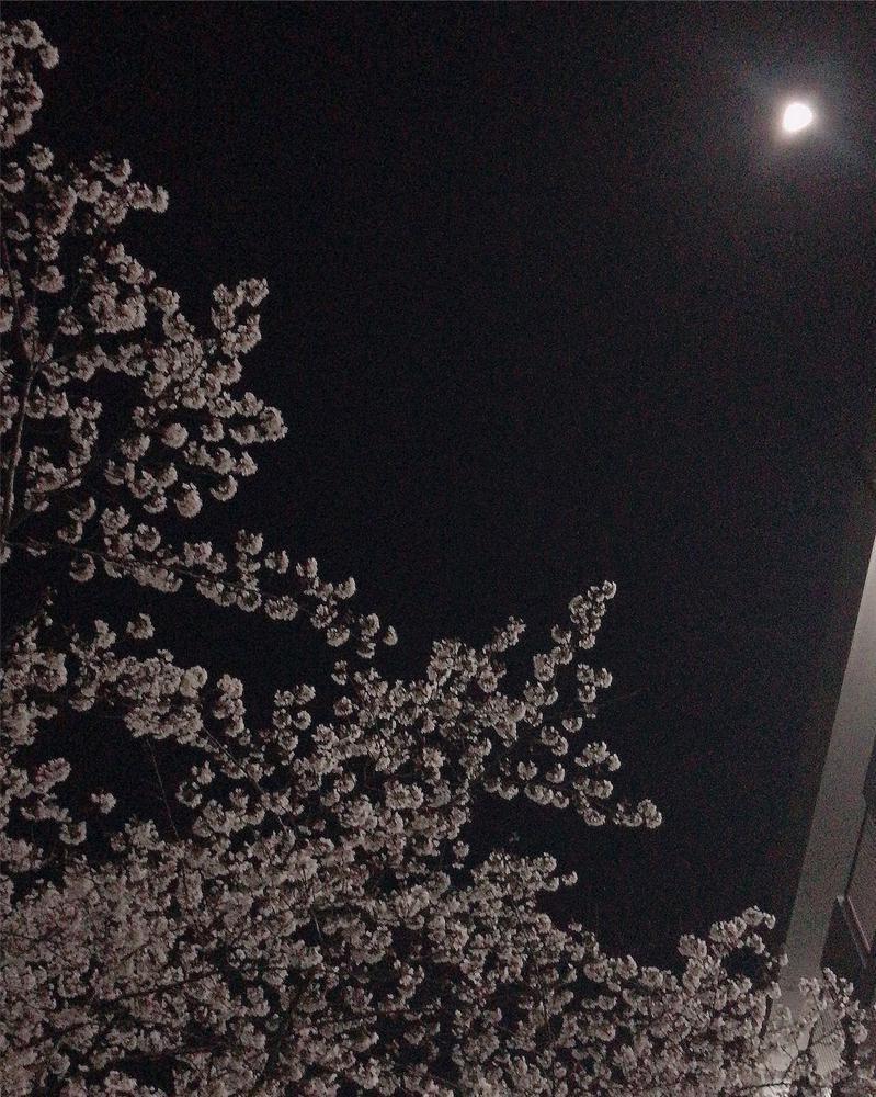 🌸
