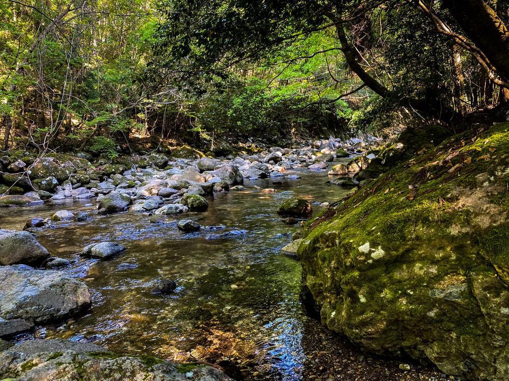 皆様お久しぶりです｡ﾟ(ﾟ´ω`ﾟ)ﾟ｡