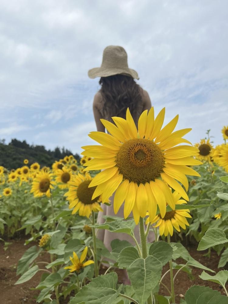 🕺🏻🕺🏻🕺🏻