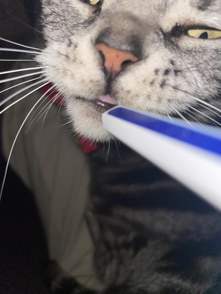 さすがにホラー