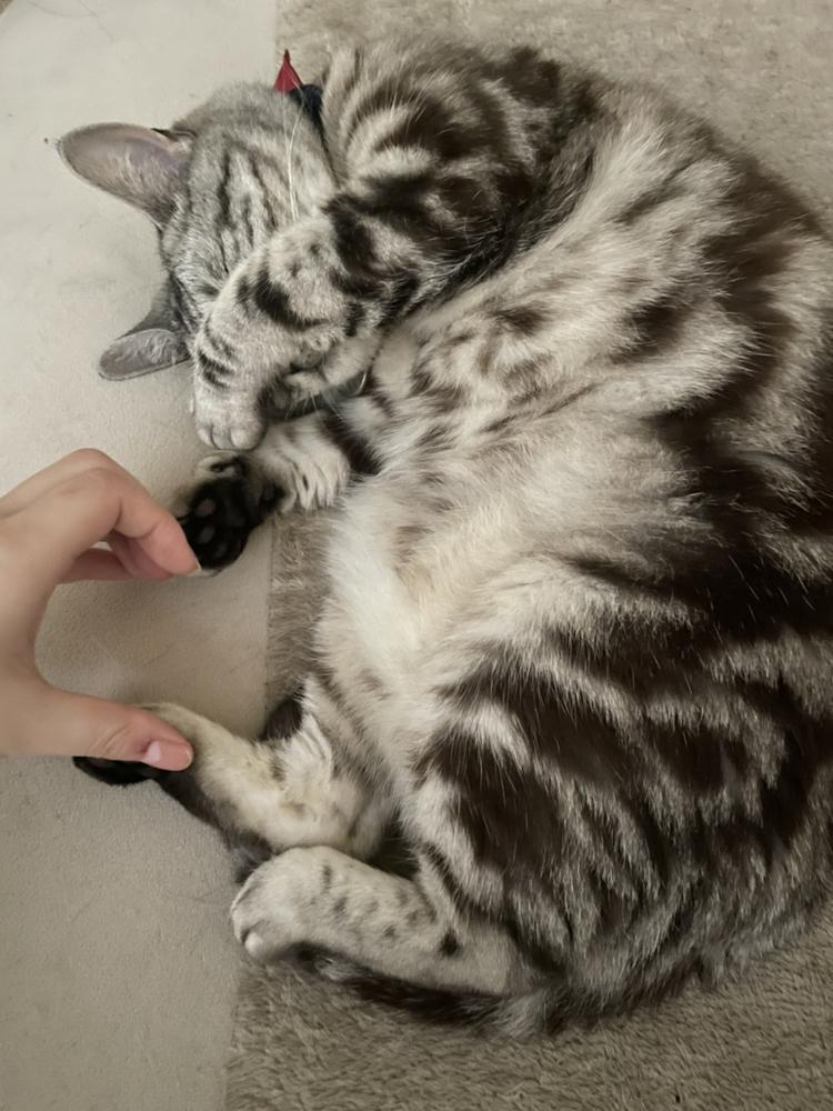 明日のことはかんがえるな！！