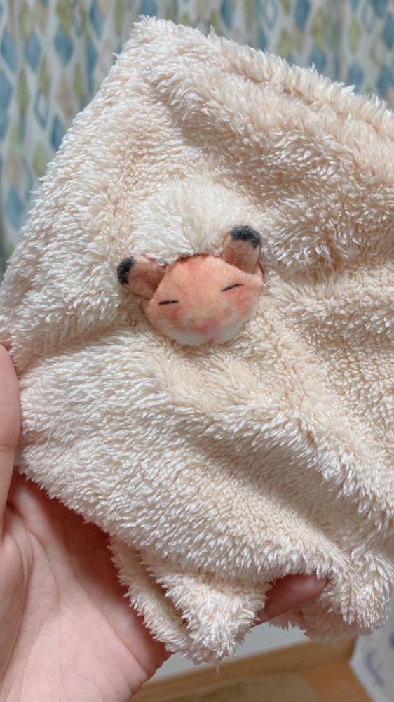 ハムけつ🐹