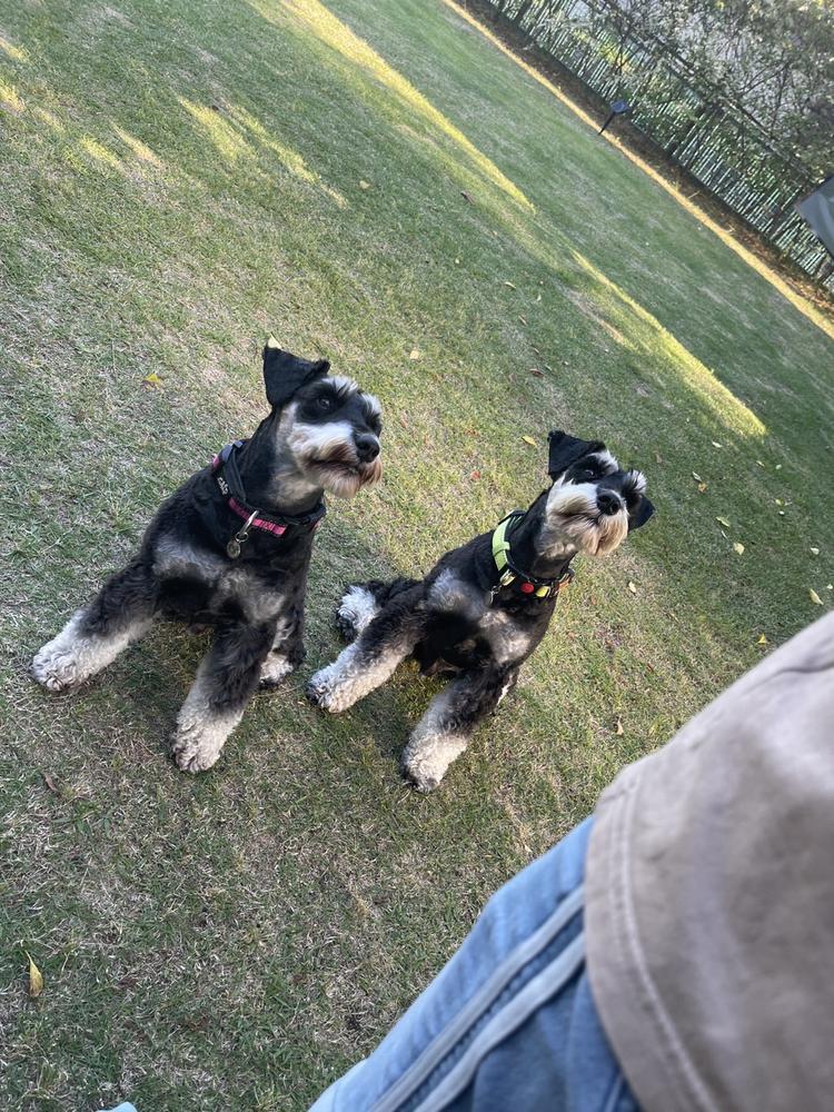 なかなか今回治らないー_:(´ཀ`」 ∠︎):_