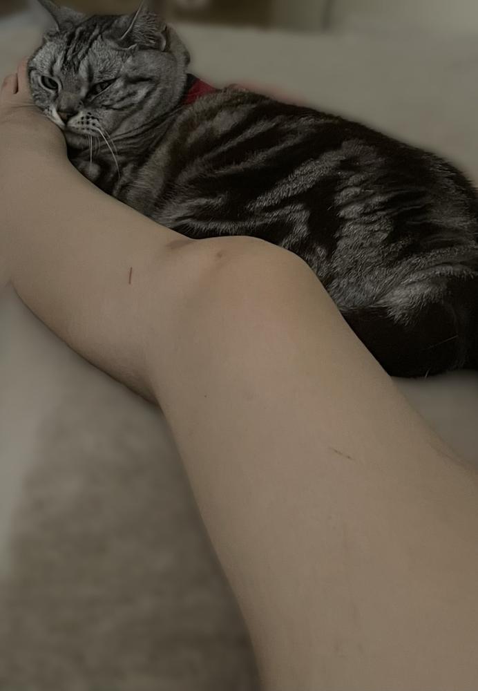 変なテンション