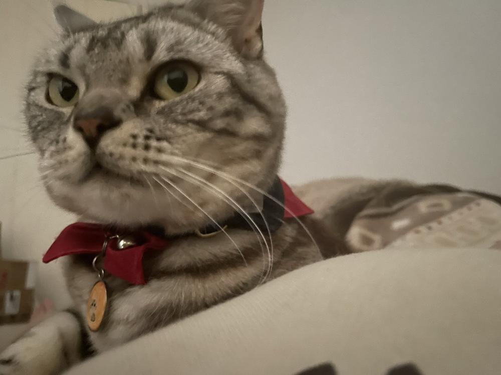 甘いもの症候群