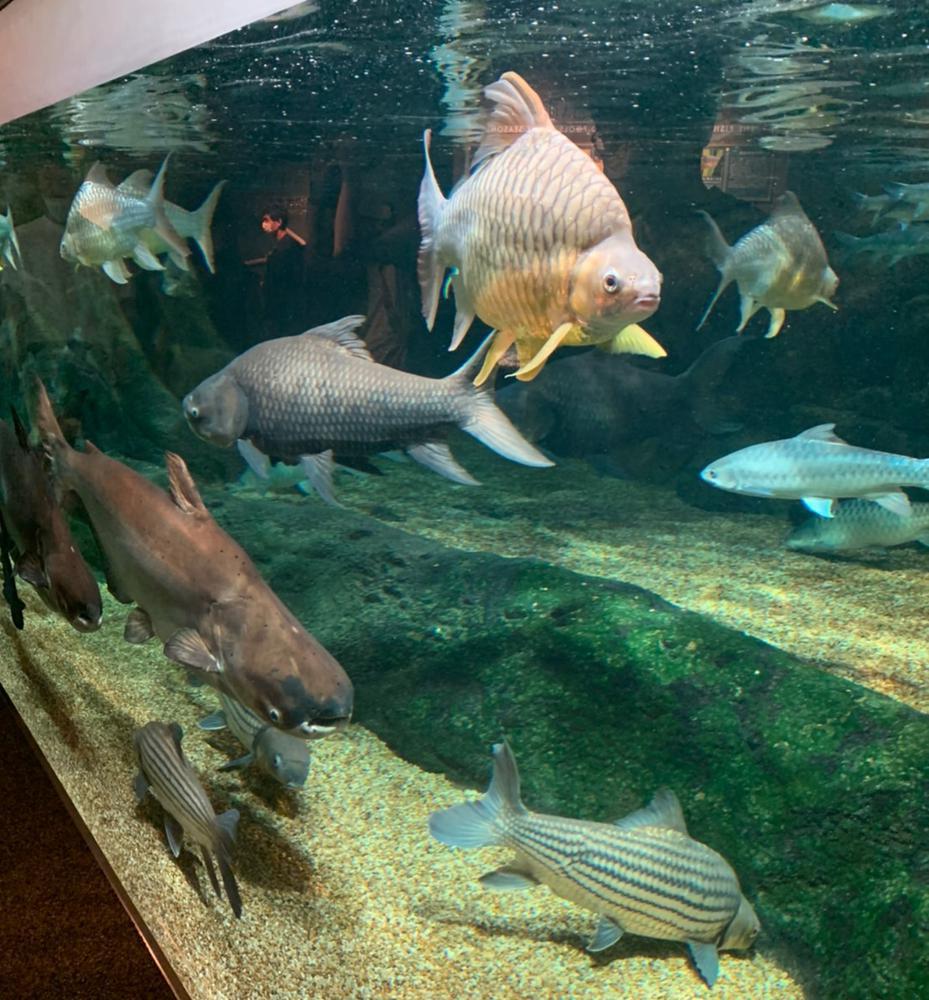 おつかれさまです！