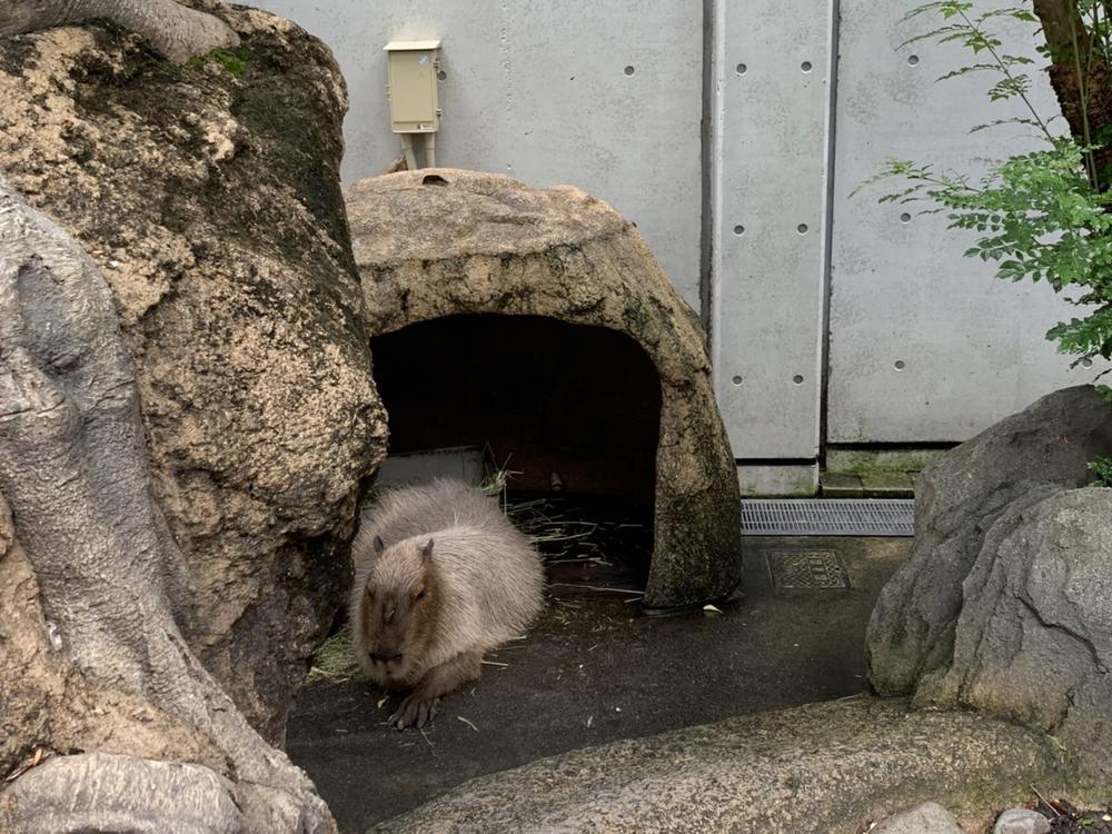 おつかれさまです！