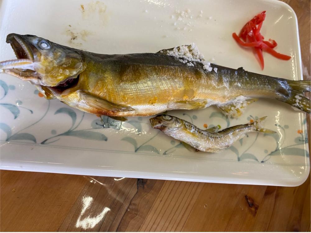 口内炎が痛すぎる