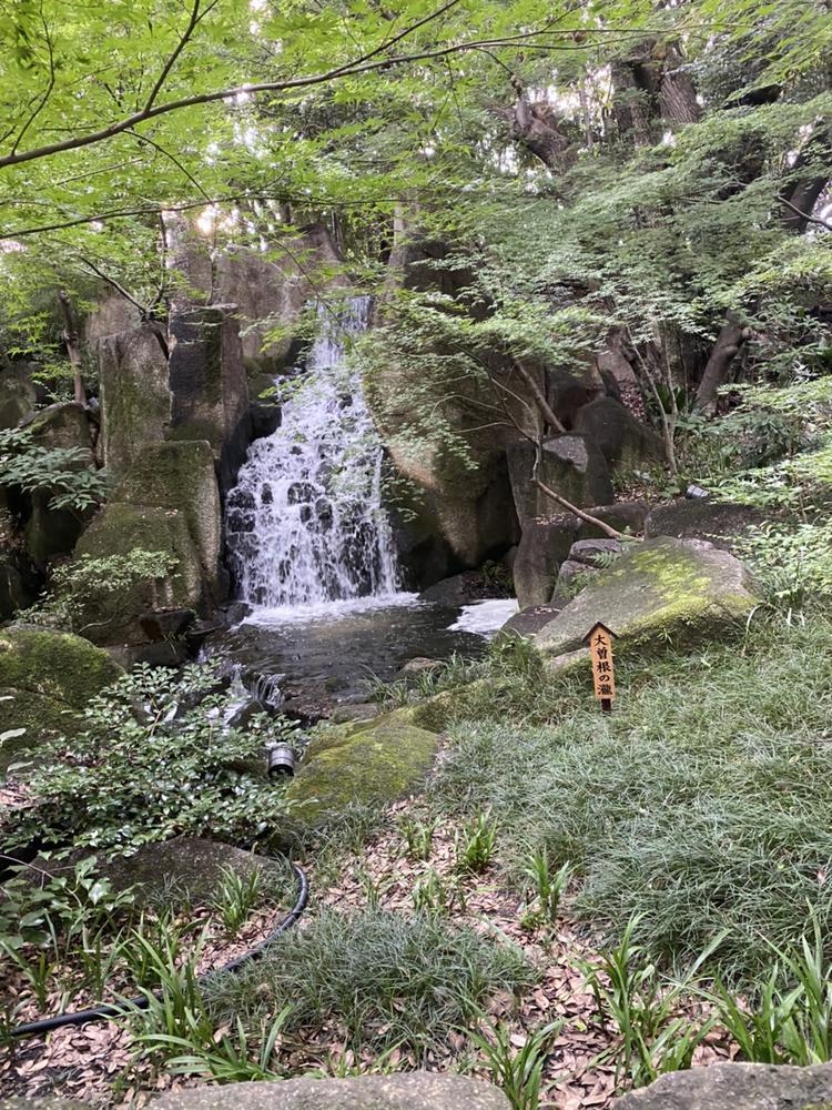 出勤しまする！