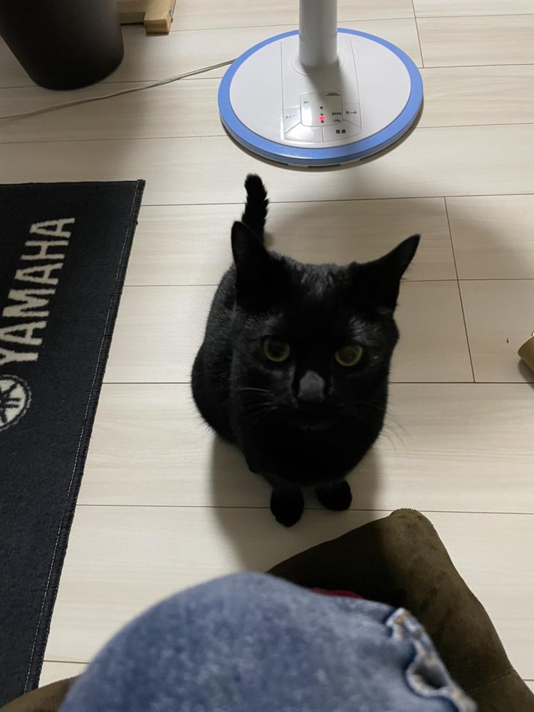 ルーチェ出勤してます‼️