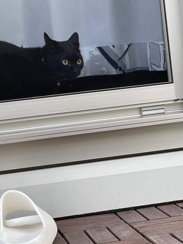 出勤します‼️