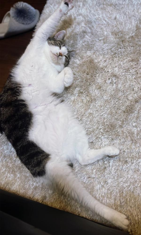 Gカップキャバ嬢あるある