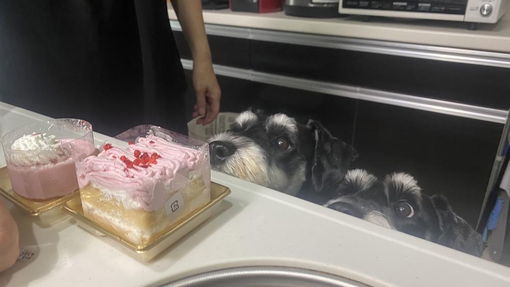 お誕生日おめでとう❤️