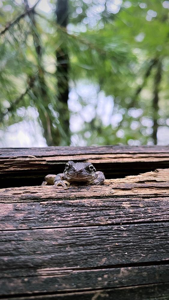 オフ日は自然満喫！