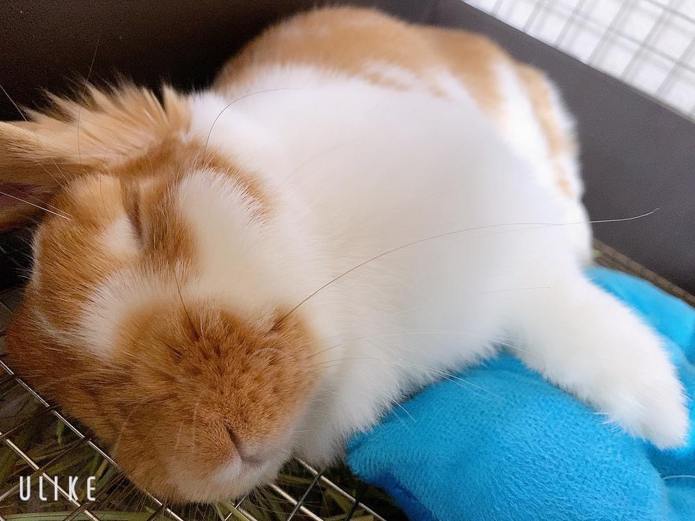 やっぱり先にほっこり話をします😂笑っ