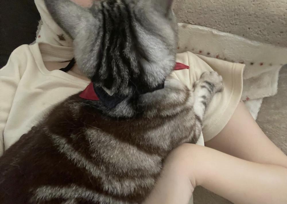 何もかもが何もかも