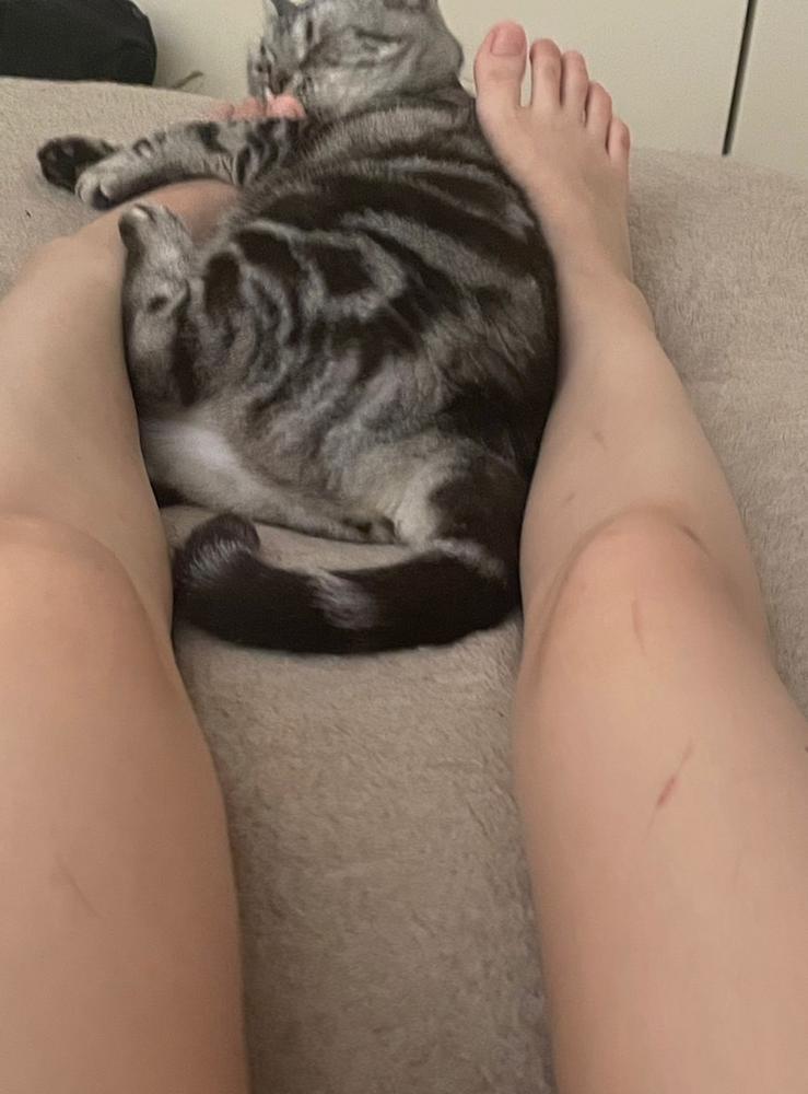 お鍋の季節ですね